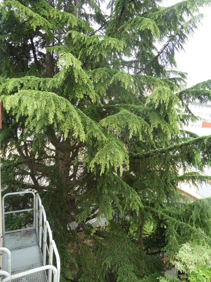 Gasthof Grupello 2*