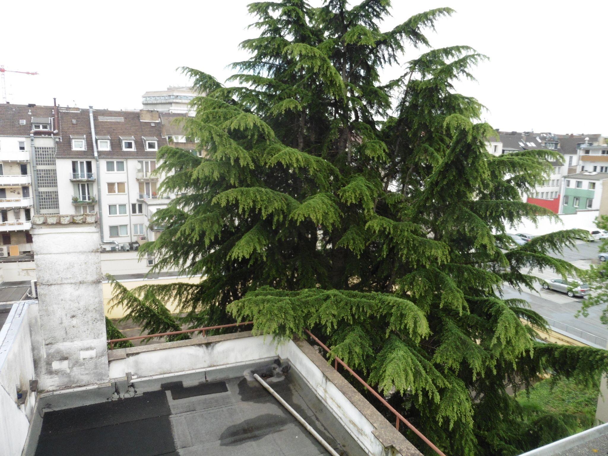 Grupello 2* Düsseldorf