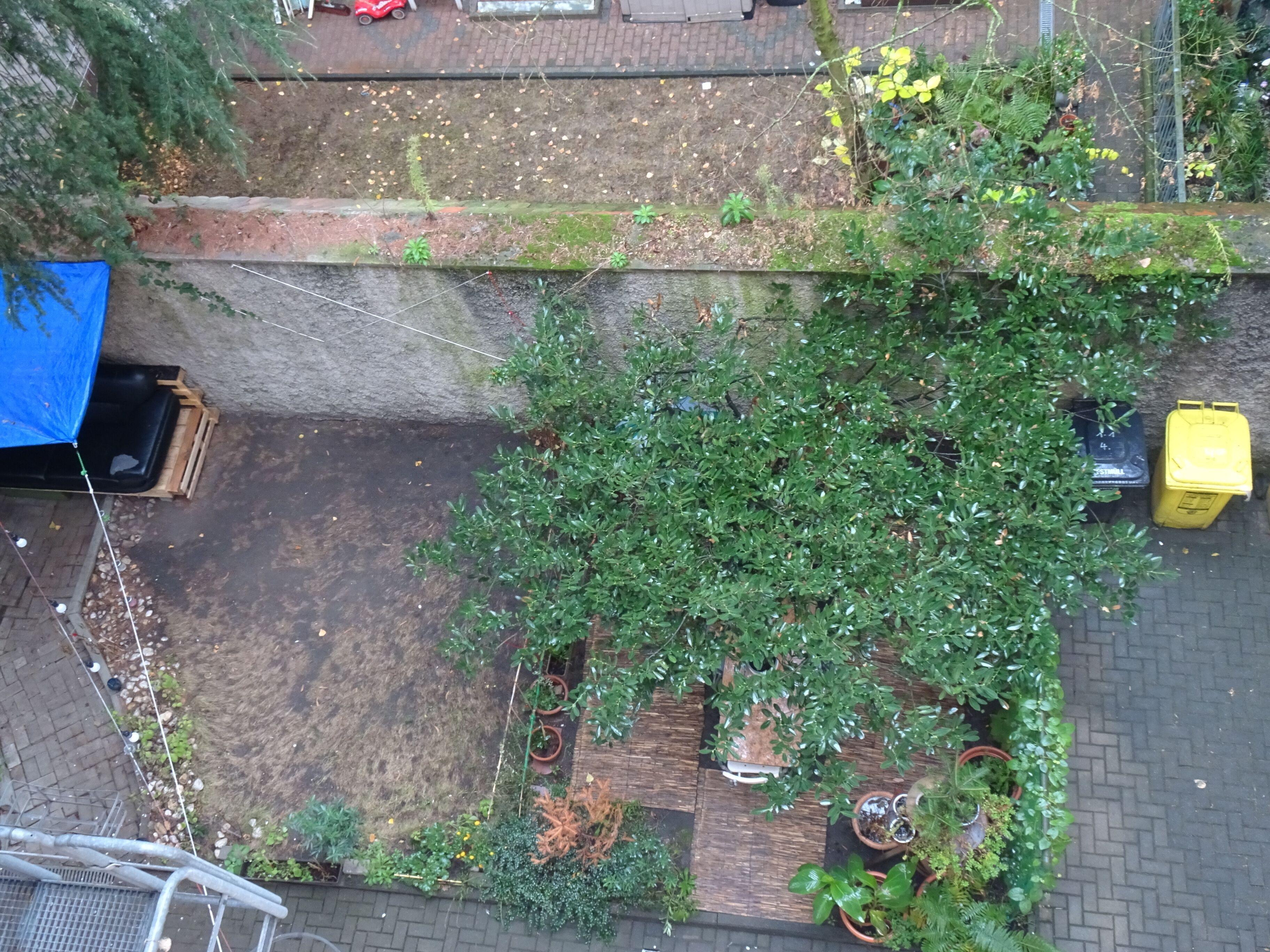 Gasthof Grupello Düsseldorf